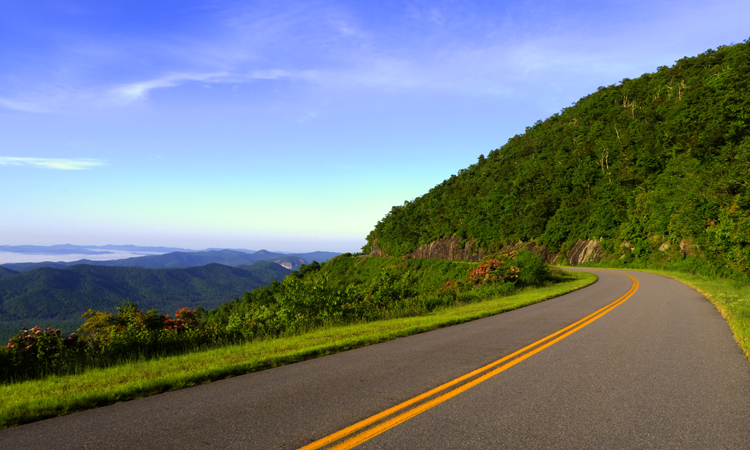 Roadmap to retirement